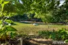 163-187 Petrie Creek Road, Rosemount, Qld 4560-Image