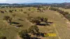 1641 Castlereagh Highway, Mudgee, NSW 2850-Image