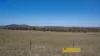1641 Castlereagh Highway, Mudgee, NSW 2850-Image