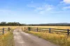 165 Foxs Elbow Road, Braidwood, NSW 2622-Image