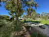165 Harris Street, Corryong VIC 3707-Image