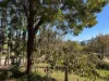 165 Harris Street, Corryong VIC 3707-Image