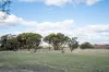 166 Bejoording Road, Bejoording, WA 6566-Image