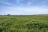 1668 Settlement Road, Diggora, Vic 3561-Image