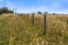 167 Stark Road, Talgai QLD 4362-Image