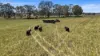 167 Stark Road, Talgai QLD 4362-Image