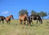 167 Stark Road, Talgai QLD 4362-Image