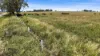 167 Stark Road, Talgai QLD 4362-Image