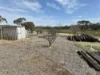 16733 Barrier Highway, Oodla Wirra, SA 5422-Image