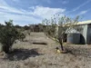 16733 Barrier Highway, Oodla Wirra, SA 5422-Image