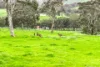 1679 Inman Valley Road, Inman Valley, SA 5211-Image