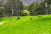 1679 Inman Valley Road, Inman Valley, SA 5211-Image