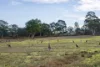 168 Styles Valley Road, Nerriga, NSW 2622-Image
