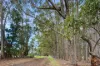 1680 Warner Glen Road, Warner Glen, WA 6288-Image