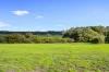 1680 Warner Glen Road, Warner Glen, WA 6288-Image