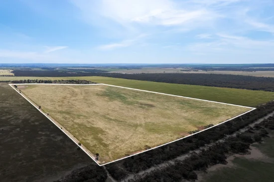 1681 Boundary Road, Burdett, SA 5253