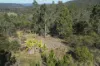 1698 Kangaroo Creek Road, Kangaroo Creek, NSW 2460-Image