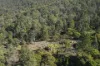 1698 Kangaroo Creek Road, Kangaroo Creek, NSW 2460-Image