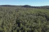 1698 Kangaroo Creek Road, Kangaroo Creek, NSW 2460-Image