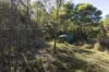1698 Kangaroo Creek Road, Kangaroo Creek, NSW 2460-Image