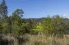 1698 Kangaroo Creek Road, Kangaroo Creek, NSW 2460-Image