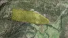 1698 Kangaroo Creek Road, Kangaroo Creek, NSW 2460-Image