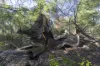 1698 Kangaroo Creek Road, Kangaroo Creek, NSW 2460-Image