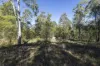 1698 Kangaroo Creek Road, Kangaroo Creek, NSW 2460-Image