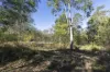 1698 Kangaroo Creek Road, Kangaroo Creek, NSW 2460-Image