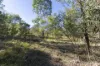 1698 Kangaroo Creek Road, Kangaroo Creek, NSW 2460-Image