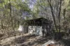 1698 Kangaroo Creek Road, Kangaroo Creek, NSW 2460-Image