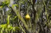 1698 Kangaroo Creek Road, Kangaroo Creek, NSW 2460-Image