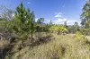 1698 Kangaroo Creek Road, Kangaroo Creek, NSW 2460-Image