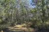 1698 Kangaroo Creek Road, Kangaroo Creek, NSW 2460-Image