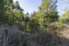 1698 Kangaroo Creek Road, Kangaroo Creek, NSW 2460-Image