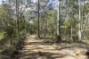 1698 Kangaroo Creek Road, Kangaroo Creek, NSW 2460-Image