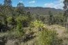1698 Kangaroo Creek Road, Kangaroo Creek, NSW 2460-Image