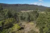 1698 Kangaroo Creek Road, Kangaroo Creek, NSW 2460-Image