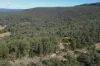 1698 Kangaroo Creek Road, Kangaroo Creek, NSW 2460-Image