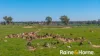 169L Narromine Road, Dubbo, NSW 2830-Image