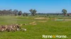 169L Narromine Road, Dubbo, NSW 2830-Image