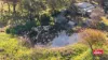 17 Burraway Street, Brocklehurst, NSW 2830-Image