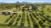 17 Farm Road, Black River, Qld 4818-Image