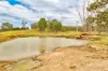 1706 ESK CROWS NEST Road, Biarra QLD 4313-Image