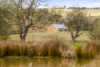 171 Big Flat Road, Craigie, NSW 2632-Image