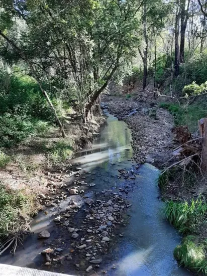 171 Boonanghi Forest Road, Wittitrin, NSW 2440