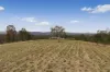171 Six Mile Creek Road, Postmans Ridge, Qld 4352-Image