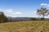 171 Six Mile Creek Road, Postmans Ridge, Qld 4352-Image