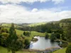 1725 Wild Dog Valley, Strzelecki, Vic 3950