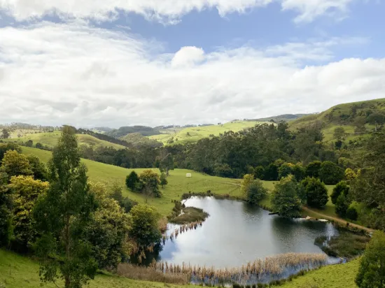 1725 Wild Dog Valley, Strzelecki, Vic 3950